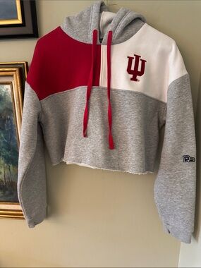 Indiana University Cropped Small Hoodie Gray Crimson Hoosiers Football S
